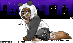 Dressed pet