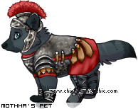 Dressed pet