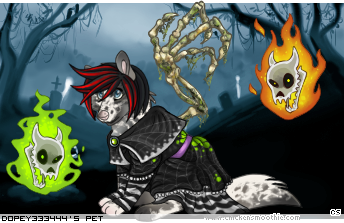 Dressed pet