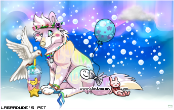 Dressed pet