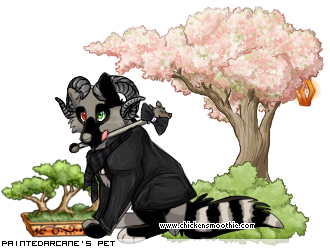 Dressed pet