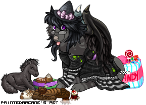 Dressed pet
