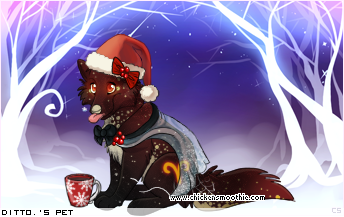 Dressed pet