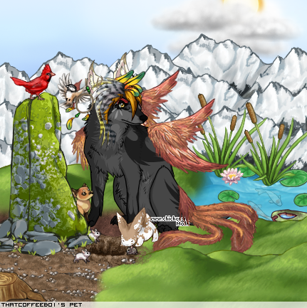 Dressed pet