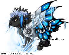 Dressed pet
