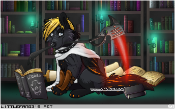 Dressed pet