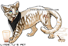 Dressed pet