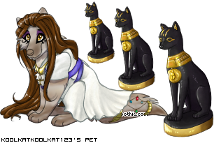 Dressed pet