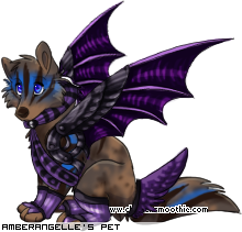 Dressed pet