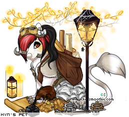 Dressed pet