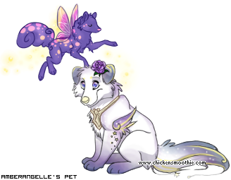 Dressed pet
