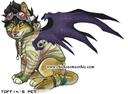 Dressed pet