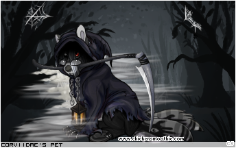 Dressed pet