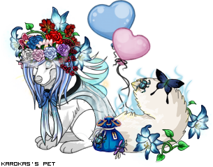 Dressed pet