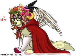 Dressed pet