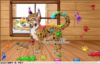 Dressed pet
