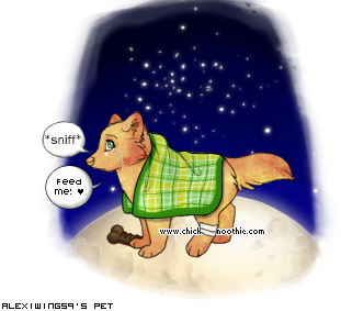 Dressed pet