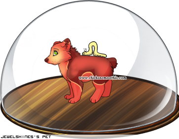 Dressed pet