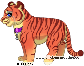 Dressed pet