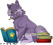 Dressed pet