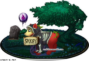 Dressed pet