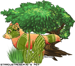 Dressed pet