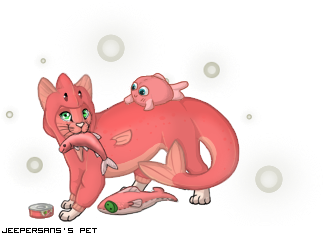 Dressed pet