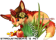 Dressed pet