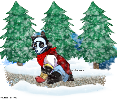 Dressed pet