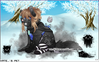Dressed pet