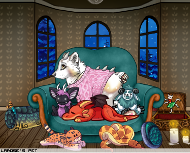 Dressed pet