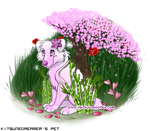Dressed pet