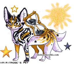 Dressed pet