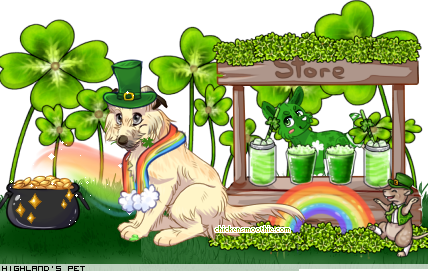 Dressed pet