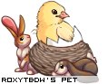 Dressed pet