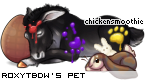 Dressed pet