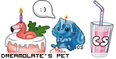 Dressed pet