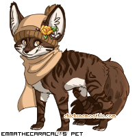 Dressed pet