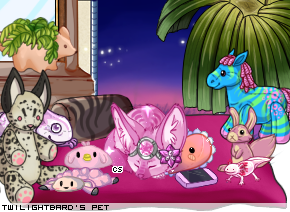 Dressed pet