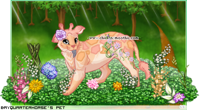 Dressed pet
