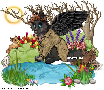 Dressed pet