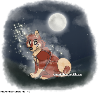 Dressed pet