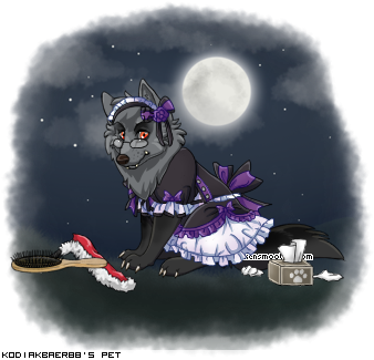 Dressed pet