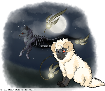 Dressed pet