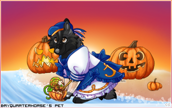 Dressed pet