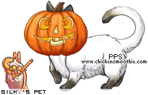 Dressed pet