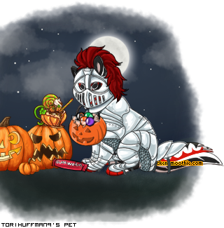 Dressed pet