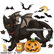 Dressed pet