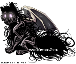 Dressed pet