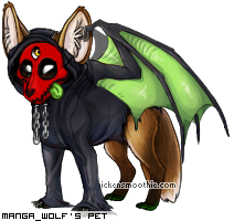 Dressed pet